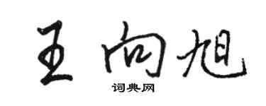 骆恒光王向旭行书个性签名怎么写