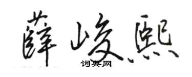 骆恒光薛峻熙行书个性签名怎么写