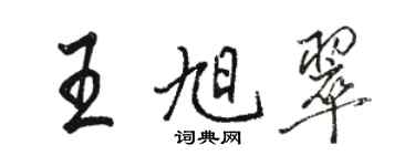 骆恒光王旭翠行书个性签名怎么写