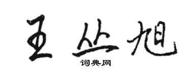 骆恒光王丛旭行书个性签名怎么写