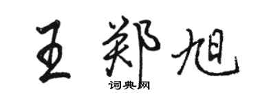 骆恒光王郑旭行书个性签名怎么写