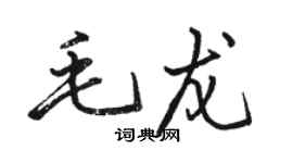 骆恒光毛龙行书个性签名怎么写