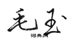 骆恒光毛玉行书个性签名怎么写