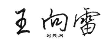 骆恒光王向雷行书个性签名怎么写