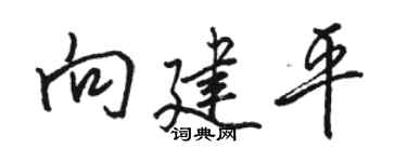 骆恒光向建平行书个性签名怎么写