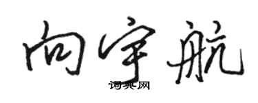 骆恒光向宇航行书个性签名怎么写
