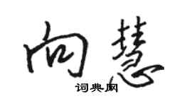 骆恒光向慧行书个性签名怎么写