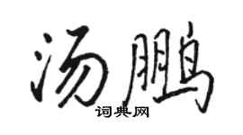 骆恒光汤鹏行书个性签名怎么写