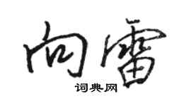 骆恒光向雷行书个性签名怎么写