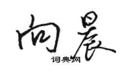 骆恒光向晨行书个性签名怎么写