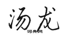 骆恒光汤龙行书个性签名怎么写