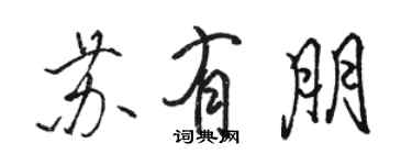 骆恒光苏有朋行书个性签名怎么写