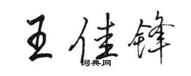 骆恒光王佳锋行书个性签名怎么写