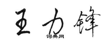 骆恒光王力锋行书个性签名怎么写