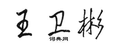 骆恒光王卫彬行书个性签名怎么写