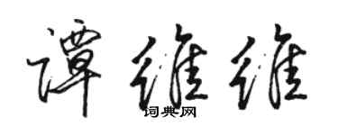 骆恒光谭维维行书个性签名怎么写