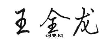 骆恒光王全龙行书个性签名怎么写
