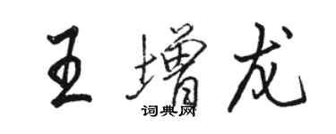 骆恒光王增龙行书个性签名怎么写