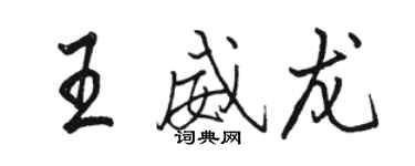 骆恒光王威龙行书个性签名怎么写