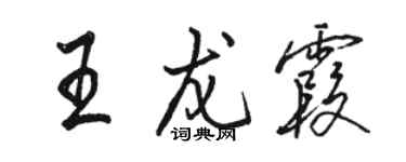 骆恒光王龙霞行书个性签名怎么写