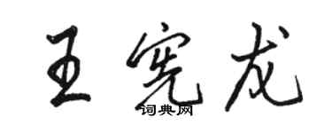 骆恒光王宪龙行书个性签名怎么写