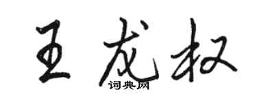 骆恒光王龙权行书个性签名怎么写
