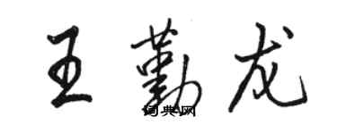 骆恒光王勤龙行书个性签名怎么写