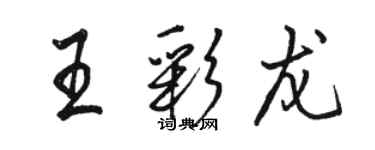 骆恒光王彩龙行书个性签名怎么写