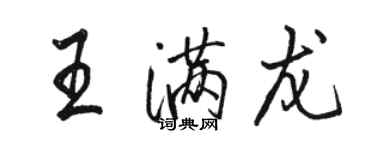 骆恒光王满龙行书个性签名怎么写