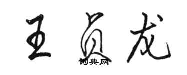 骆恒光王贞龙行书个性签名怎么写