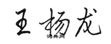 骆恒光王杨龙行书个性签名怎么写