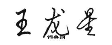 骆恒光王龙星行书个性签名怎么写