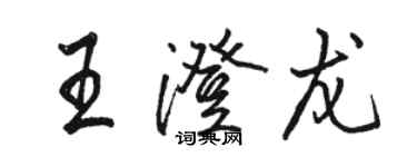 骆恒光王澄龙行书个性签名怎么写