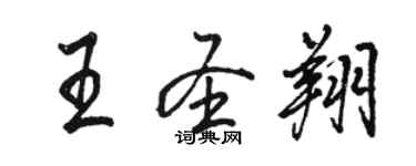 骆恒光王圣翔行书个性签名怎么写