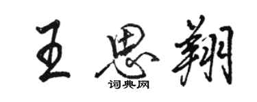 骆恒光王思翔行书个性签名怎么写