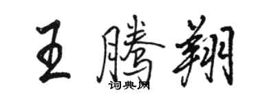 骆恒光王腾翔行书个性签名怎么写
