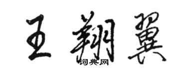 骆恒光王翔翼行书个性签名怎么写