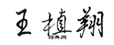 骆恒光王植翔行书个性签名怎么写
