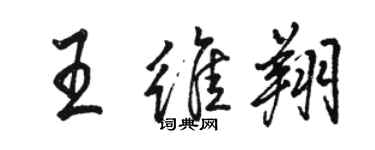 骆恒光王维翔行书个性签名怎么写
