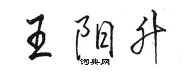 骆恒光王阳升行书个性签名怎么写