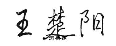 骆恒光王楚阳行书个性签名怎么写