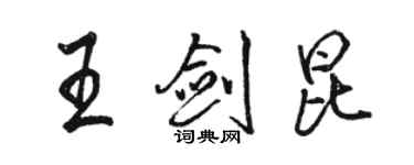 骆恒光王剑昆行书个性签名怎么写