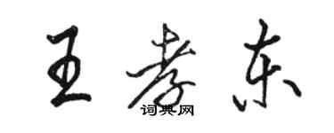 骆恒光王孝东行书个性签名怎么写