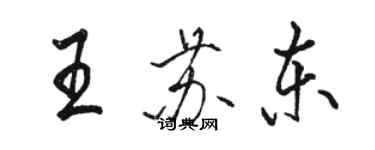 骆恒光王苏东行书个性签名怎么写