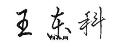 骆恒光王东科行书个性签名怎么写