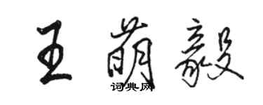 骆恒光王萌毅行书个性签名怎么写