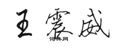 骆恒光王震威行书个性签名怎么写