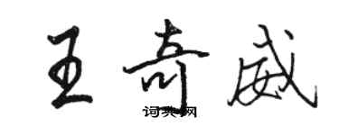 骆恒光王奇威行书个性签名怎么写