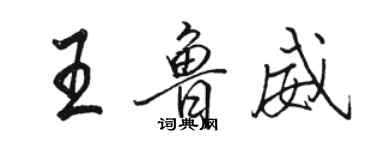 骆恒光王鲁威行书个性签名怎么写