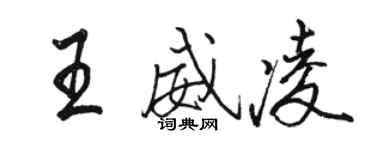 骆恒光王威凌行书个性签名怎么写